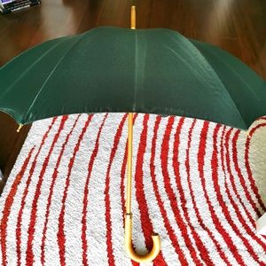 Louis Vuitton Taiga Umbrella